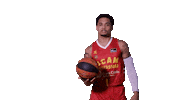 Liga Endesa Basketball Sticker by ACB