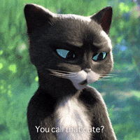 You Call That Cute?