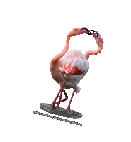 parcodeltapo nature bird bike duck Sticker