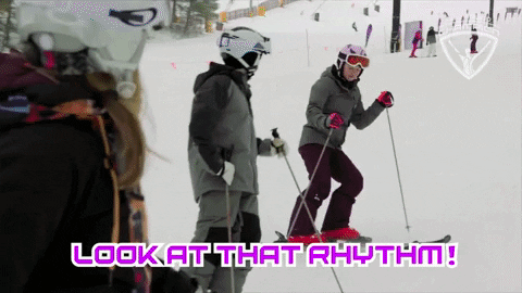 allroundchampiontv giphyupload olympics skiing smooth GIF