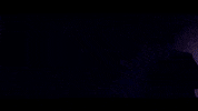 Lodo Guenzi Video GIF by TheFactory.video