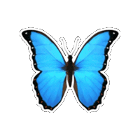Sticker Emoji Sticker
