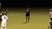 GIF by Jacksonville University