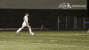 north dakota state goal GIF by NDSU Athletics