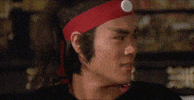 martial arts wtf GIF by Shaw Brothers