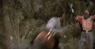 martial arts GIF by Shaw Brothers
