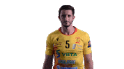 Handball Igor Sticker by RiihimäenCocks