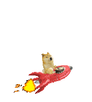 Elon Musk Crypto Sticker by Herr Fuchs Zurich