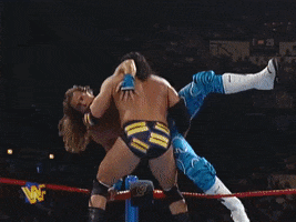 wwe sports wwe wrestling 1995 GIF