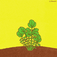 Naoshi pop surreal whimsical iam GIF