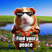Wisdom Enlightenment GIF by Guinea Gambino