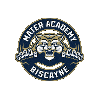 Academica Schools Sticker by Academica