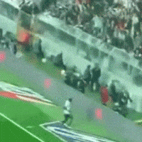 Abo GIF