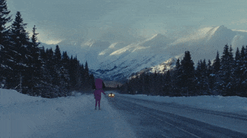 Dog Snow GIF by Portugal. The Man