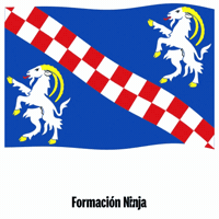 Flag Spain GIF by Formación Ninja