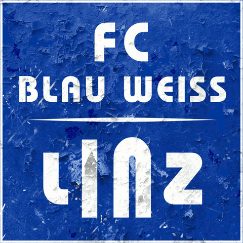 FCBlauWeissLinz giphyupload bwl fcblauweißlinz blauweißlinz GIF