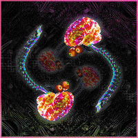 Spinal Cord Wtf GIF by davidvnun