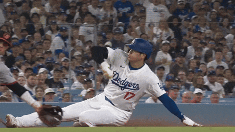 Los Angeles Dodgers Sport GIF by MLB