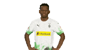 Football What Sticker by Bundesliga
