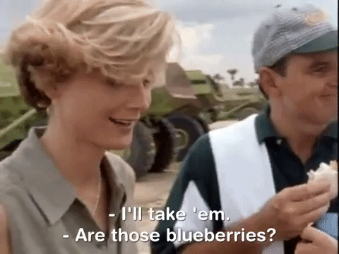 the mystery files of shelby woo nicksplat GIF