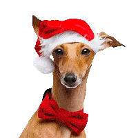 Santa Hat Wink Sticker