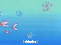 season 7 legends of bikini bottom: the curse of the hex GIF by SpongeBob SquarePants