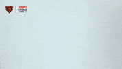 Football Nfl GIF by ESPN Chicago