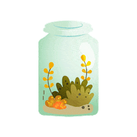 withanano flower flowers plant plants Sticker