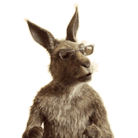 Kangaroo Kanguru Sticker by Die Känguru Chroniken