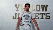 Georgia Tech Adidas GIF by Georgia Tech Yellow Jackets