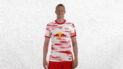 Oh Yeah Yes GIF by RB Leipzig
