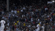 Red Sox Sport GIF by MLB