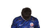 Hansa Rostock Fifa Sticker by Bundesliga
