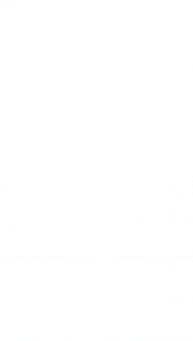Horse Neko GIF