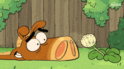 Flower Wow GIF by Nickelodeon