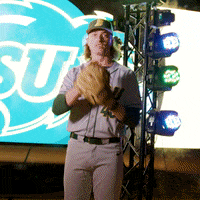 North Dakota State Baseball GIF by NDSU Athletics
