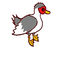 Ducks Enten Sticker