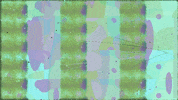 Art Artist GIF by jorgemariozuleta