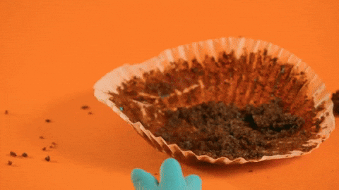 Hungry Stop Motion GIF by Motoko World