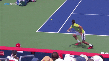 Sport Smash GIF by Tennis TV