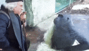 Look Talking GIF