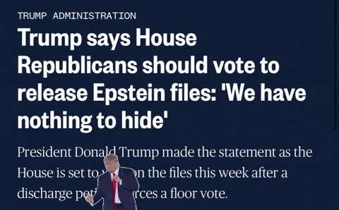Trump Epstein Files GIF