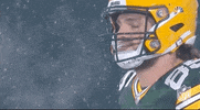 Regular Season Smh GIF by NFL