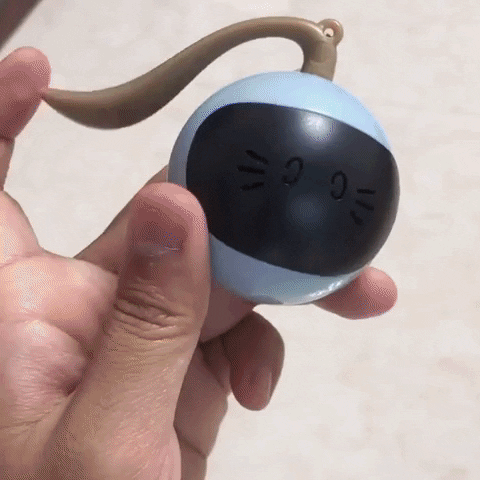 snezanaprebil giphyupload GIF