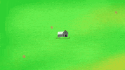 oklahoma GIF by Keb Mo