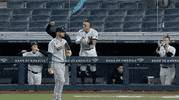 Lets Go Baseball GIF by Jomboy Media