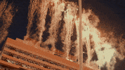 Tennessee Volunteers Football GIF by Tennessee Athletics