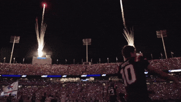 Football Nfl GIF by New England Patriots