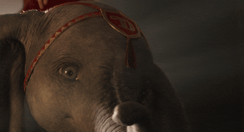 giphy Najlepsze wersje live action animacji Disney’a – TOP 4