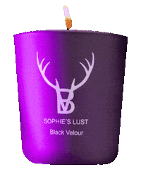 blackvelour black shop boyfriend candle Sticker
